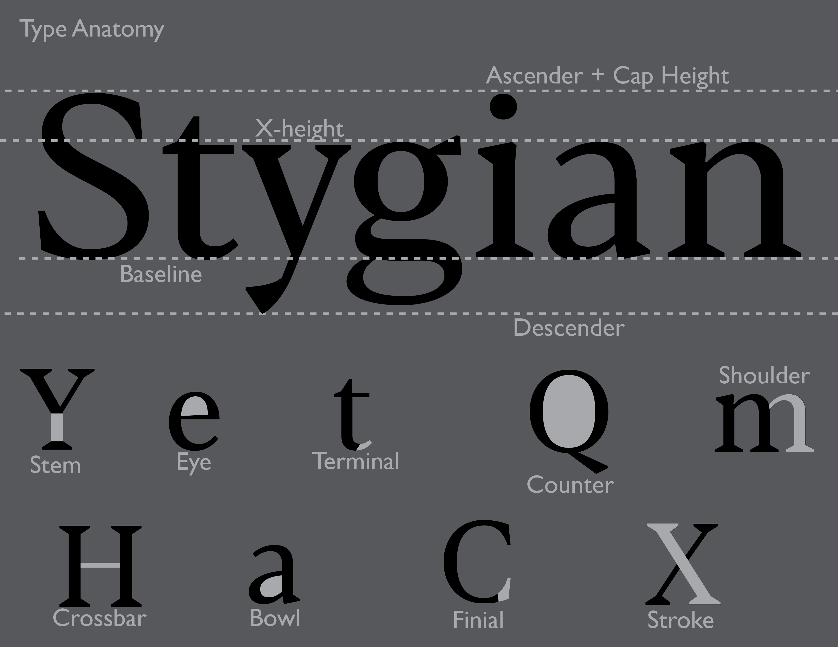 typespecimen