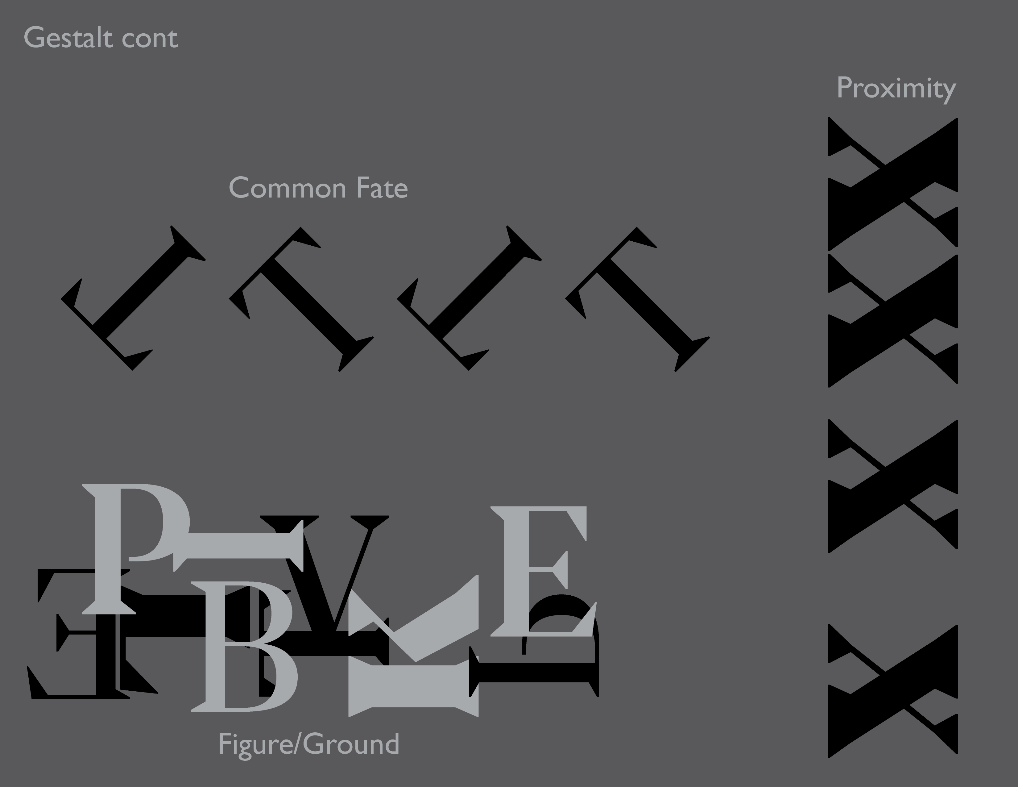 typespecimen